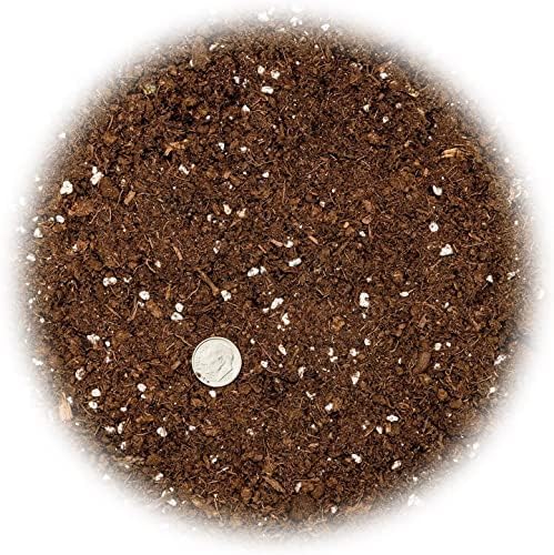 GARDENERA Premium Snake Plant Potting Soil Mix - 20 Quart - Green Sansevieria Trifascatia Zeylanica Plants, Plant or Re-Pot Your Snake Plant (4 Bags of 5 Quart) - Image 3