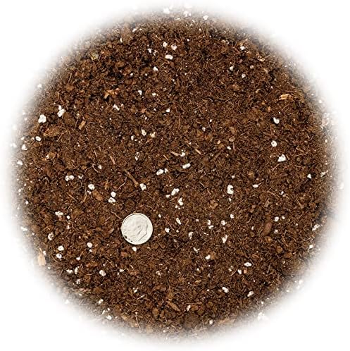 GARDENERA Money Tree Potting Soil Mix for Planting or Repotting Guiana Chestnut, Soil Blended to Properly Grow Money Tree Plants (4 Quart Bag) - Image 2