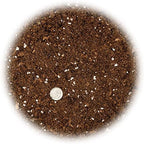 GARDENERA Money Tree Potting Soil Mix for Planting or Repotting Guiana Chestnut, Soil Blended to Properly Grow Money Tree Plants (4 Quart Bag) - Image 2