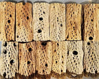 3-48 Inch All Natural Teddy Bear Cholla Wood Extra Hollow Large Untreated Organic Aquarium Driftwood Decoration Chew Toy Shrimp Crab Cichlid Nano Tank Birds 1 or 5 Pieces (1 Piece, 30 inch) by BioactiveFX