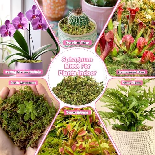Riare 4.4LB Premium Sphagnum Moss for Plants- 80QT Natural Dried Plant Moss - Image 6