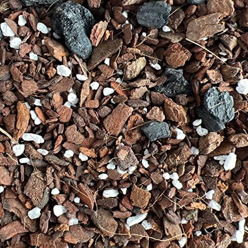 Snake Plant Imperial Houseplant Potting Soil Mix by rePotme - Junior Bag (4 Quarts) - Image 5
