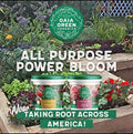 Gaia Green All Purpose & Power Bloom 2KG (5280 Garden Supply) by Unknown