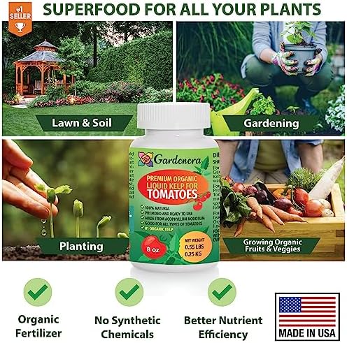 GARDENERA Premium Organic Seaweed & Kelp Superfood for Tomato Plants - 32 oz - Liquid Kelp Fertilizer Concentrate (Makes 180 Gallons) - Image 6
