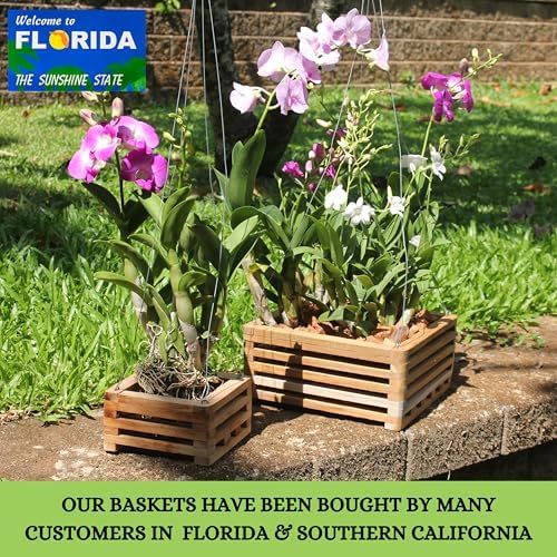 Set of 3 Strong Teak Wood Orchid Baskets for Outdoors with Hangers, 1 is 10 Inches Wide, 1 is 8 Inches, 1 is 6 Inches, for Orchids, Staghorn Ferns, Orchid Gifts - Image 4