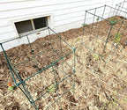 2 Pack 12x39 Inch High Green Folding Square Tomato Cages - Image 4