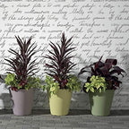 Crescent Garden A118034A Rotational Molded Madison Planter, Weathered Terracotta, 34" - Image 6