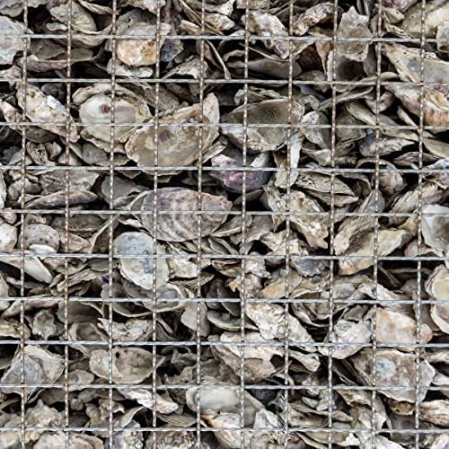 The Bud Grower | California Hot Soil Premium Oyster Shell Flour | 6 lbs of Fine Powder 100% Organic Oyster Shell Flour | All-in-One Grow Tent Kit's & Supplies - Image 7