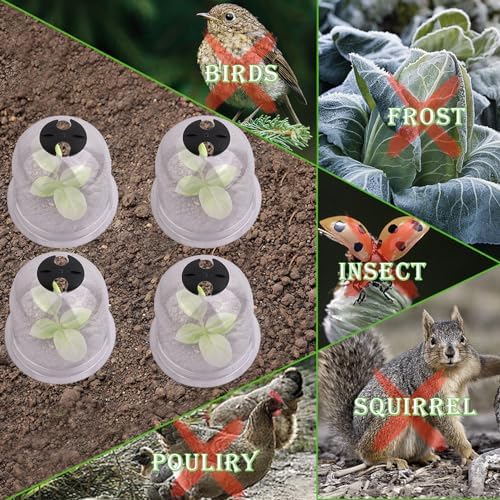 28 Pack Large 7.7 x 6.7" Garden Cloche Plant Domes with Pegs and Labels - Image 4