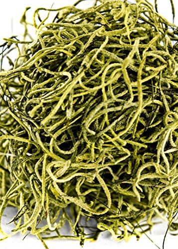 SuperMoss (27011 Preserved Spanish Moss – Decorative Moss for Crafts, Potted Plants, Fairy Gardens, Vase Filler, Floral Arrangements & Indoor/Outdoor Garden Projects, 1,560 cu in, Basil - Image 3