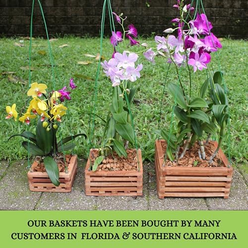 Set of 3 Strong Wooden Orchid Baskets with Hangers, Vanda Baskets for Outside - Image 2