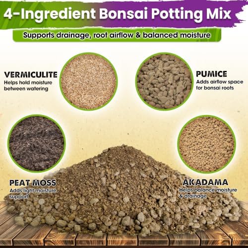 DUSPRO Pre-Mixed & Ready to Use 4-in-1 Bonsai Soil Mix, 4 Quarts - Image 2