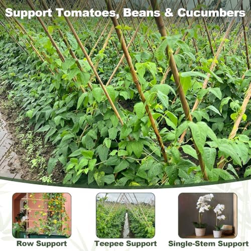 Natural Bamboo Poles, Approx. 57 in / 5 ft, 5/8" Diameter Bamboo Sticks for Plants, Wood Garden Stakes for Tomatoes, Beans, Flowers, Potted Trees and Climbing Plants, 40 Pack - Image 2