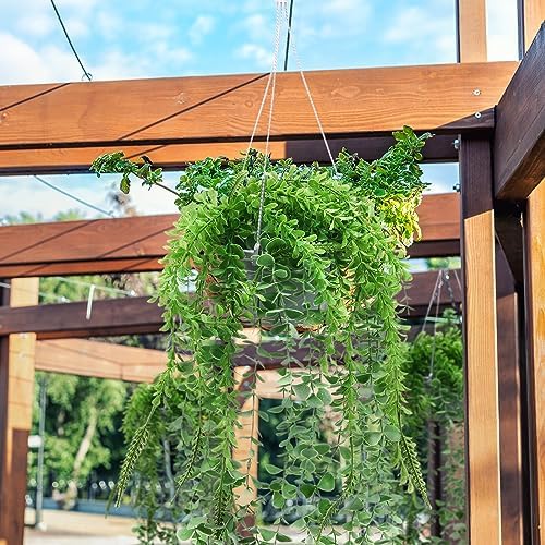 Tioncy 50 Pcs Plastic Hanging Baskets Planter Hanging Pot, White, 6.5 Inch - Image 4