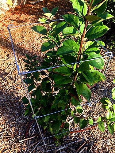 46" Height 12" Width 2PCS Galvanized Square Folding Tomato Cage,Plant Support Stake Tower - Image 5