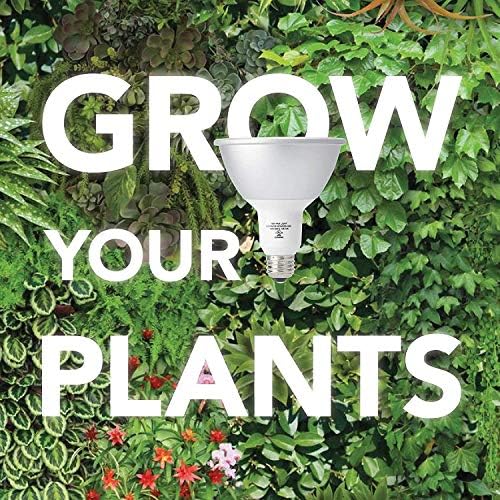 Norb NorbBOTANIC Full Spectrum Grow Light Bulb, Premium PAR38 LED Plant Light, 16W White Light for Indoor Plants, Herbs, Tropical Plants, 15 Degree - Image 2