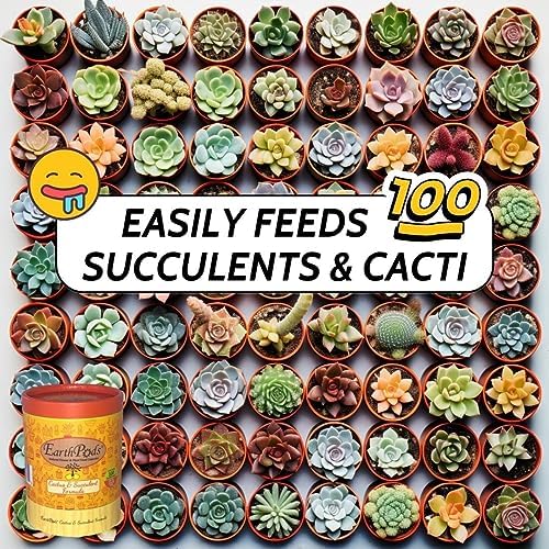 Earth Pods® Organic Succulent & Cactus Fertilizer Spikes, 100 Capsules - Image 4