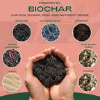Rosy Soil Indoor Potting Soil Bundle, Organic Houseplant, Aroid and Cactus Potting Mix Set, Peat-Free Biochar Formula, 4 Qt Each - Image 3