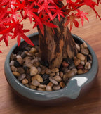 Artificial Bonsai Pine Tree, Faux Potted Plant Desk Display Fake Tree Pot Ornaments, Welcome Pine Fake Plant for Home, Office Decoration,Red - Image 5