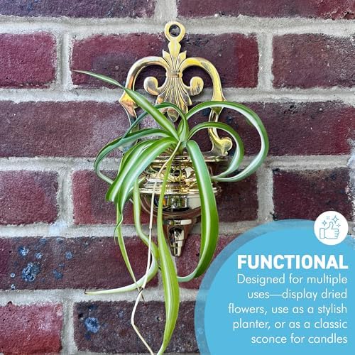 Thorness Brass Wall Pocket Sconce Planter, Wall Planter in gold finish for indoors or outdoors, perfect for displaying plants, and enhancing home decor - Image 3