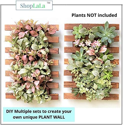 ShopLaLa Wall Planters (40cm, 4 Pack) Wooden Hanging Planter for Air Plants - Image 6