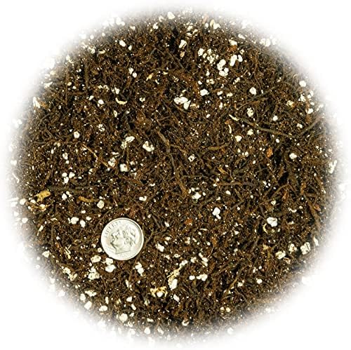 Gardenera Fern + Perlite Soil Mix - 10 Quart - for Repotting and Planting Succulents and Cactuses (2 Bags of 5 Quart) - Image 3