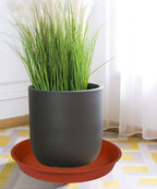 4 Pack of 18 19 inch Plant Saucer, Deep Heavy Duty Plastic Saucer 18" Round, Plant Tray for Pots, Plant Saucers for Indoors, Plant Trays for Planter 17-20" (19 inch, Terracotta) - Image 3