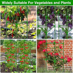 6 Pack Tomato Cages for Garden, Tomato Cage Trellis, Garden Cage Heavy Duty - Image 6