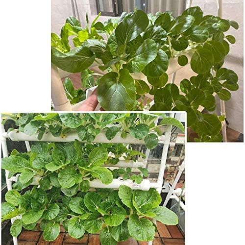 Hydroponics Growing System Kit 72 Plant Sites 4 Layers Food-Grade PVC-U Pipes Hydroponic Grow Kit Gardening System with Water Pump, Timer,Net Pots and Sponge for Vegetables,Fruits,Herb - Image 2