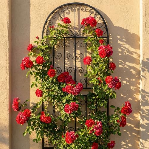 SCENDOR 59" H x 22" W Arched Metal Garden Trellis with Scrollwork, Rustproof Iron Plant Support for Climbing Roses, Clematis & Vines, Decorative Garden Screen for Lawn & Backyard 1 Pack - Image 6