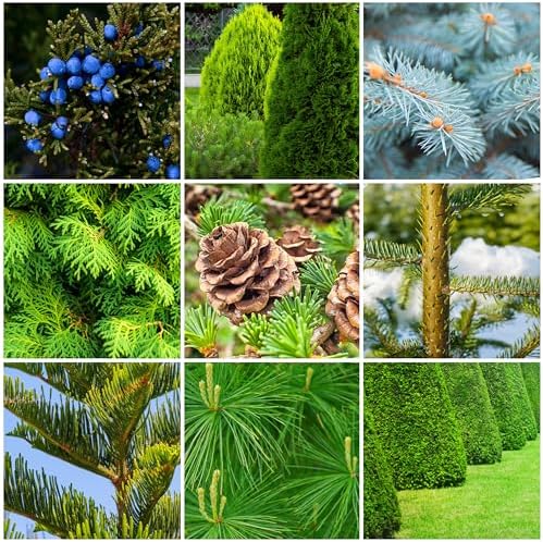 Fertilizer Spikes for Evergreen Trees & Shrubs (72 Spikes - 18.0 Lbs) - Image 2