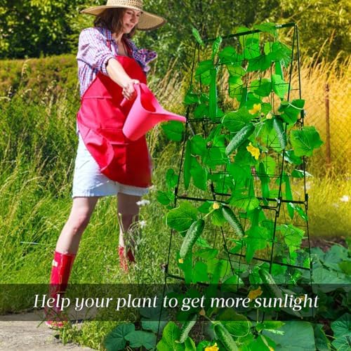 Heavy Duty Cucumber Trellis Thickened for Raised Garden Bed,48"x16" Foldable Frame Metal Vegetable Trellis for Climbing Plants Outdoor Plant Support for Grape Tomato Peas, Fruit, Vine,Bean(1 Pack) - Image 6