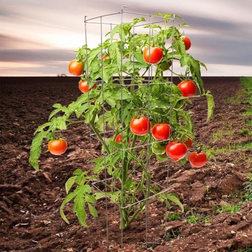 46" Height 12" Width 5PCS Galvanized Square Folding Tomato Cage,Plant Support Stake Tower - Image 7