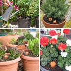 2pcs large Plant Watering Globes Ollas 10×5×5inch 61oz Terracotta Watering Pot Self Watering Planter Terra Cotta Clay Watering Spikes for Indoor Outdoor Plants Indoor Outdoor Large Reservoir Bulbs - Image 4
