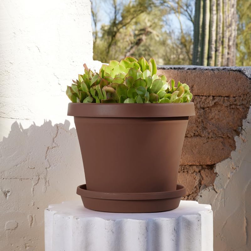 Bloem Terra Pot Planter: 12" - Chocolate Brown - Durable Resin Pot, for Indoor and Outdoor Use, Gardening, 3.5 Gallon Capacity, Saucer Sold Separately - Image 6