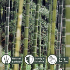 50Pcs / 3ft Bamboo Plant Stakes for Indoor Outdoor Plants, Garden Plant Support Sticks, Poles for Tomato Vegetables Beans Trees Potted Climbing Plants(0.32''-0.4'') - Image 2