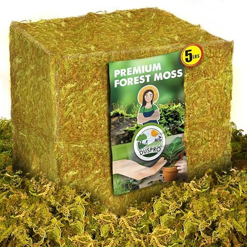 DUSPRO 5 LBS Real Dried Forest Moss for Potted Plants, Plant Propagation by DUSPRO