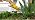 YINMIK Digital Soil pH Meter for Gardeners, Soil Direct pH Tester for Plant Care, Measure pH of Solution Potting Soil Growing Media,Great for Indoor,Greenhouse,Outdoor,Garden, Lawn, Farming, Yard Use - Image 7