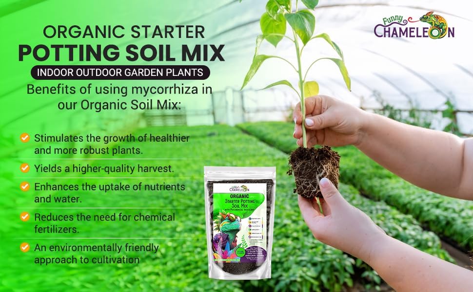 Organic Seed Starter Soil – Seed Starting Mix with Mycorrhizal Fungi – Natural Root Stimulator – Potting Soil for Vegetables and Herbs (5 QUARTS) - Image 3