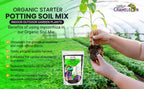 Organic Seed Starter Soil – Seed Starting Mix with Mycorrhizal Fungi – Natural Root Stimulator – Potting Soil for Vegetables and Herbs (5 QUARTS) - Image 3