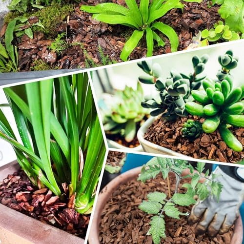 14qt Organic Orchid Potting Bark -Natural Mulch for Potted Plants, Root Development of Orchid Plants and Garden Soil Amendment Mix - Image 6