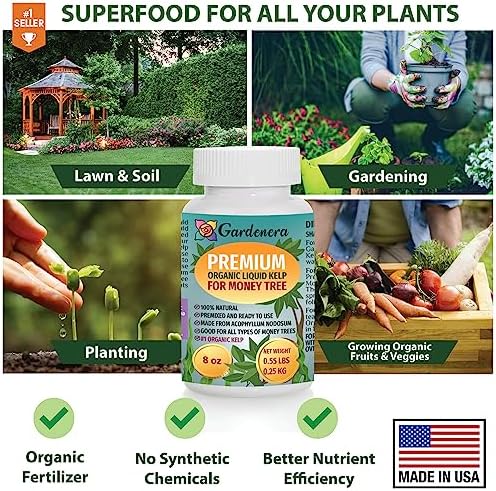GARDENERA Premium Organic Seaweed & Kelp Superfood for Money Tree Plants - 32 oz - Liquid Kelp Fertilizer Concentrate (Makes 180 Gallons) - Image 6