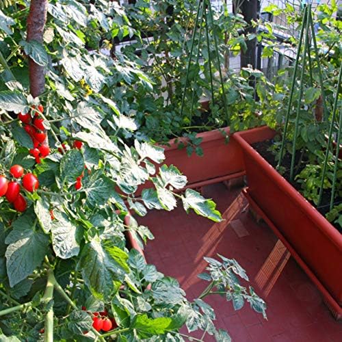 Sunnyglade 25 PCS 48" Plant Stakes Garden Tomato Sticks for Outdoor Plants - Image 5