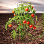 46" Height 12" Width 2PCS Green Square Folding Tomato Cage,Plant Support Stake Tower - Image 7