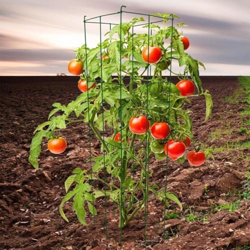 46" Height 12" Width 2PCS Green Square Folding Tomato Cage,Plant Support Stake Tower - Image 7