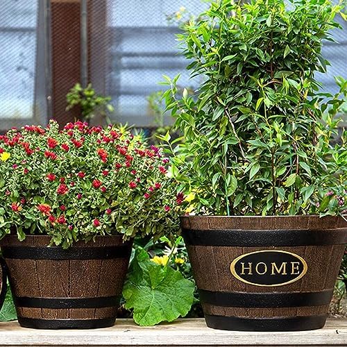 Levemolo Outdoor Decorative Resin Bonsai Planter Pot for Thickened Breathable Flower Pot Drainage for Garden and Home - Image 5