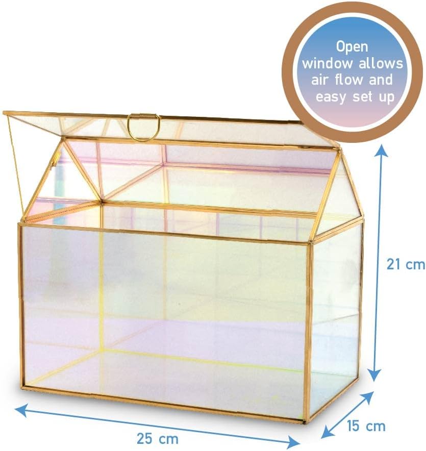 D'Eco Iridescent Glass Plant Terrarium, Centerpiece, Wedding Letterbox - Image 5