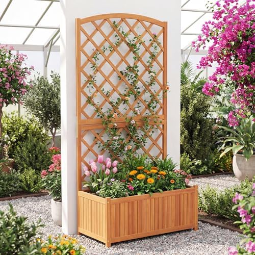 S AFSTAR Wooden Raised Garden Bed with Trellis, 63" Tall Planter Box with Drainage for Vines Climbing Plants Flowers Herbs, Elevated Gardening Planter for Backyard, Balcony & Patio by Safstar