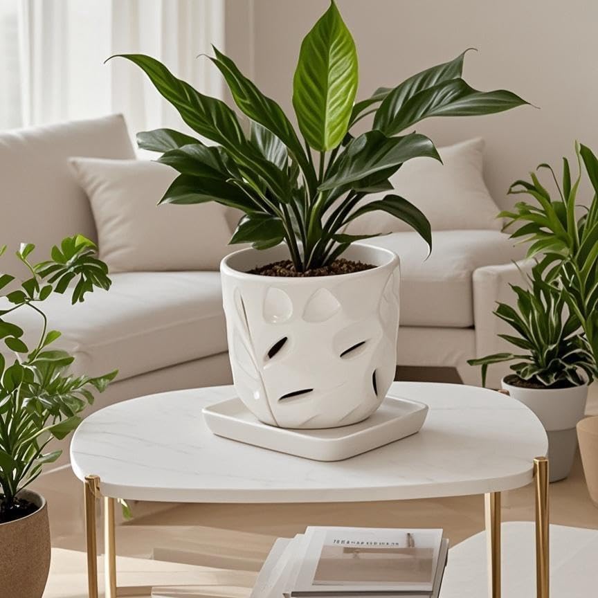 Square Ceramic Plant Saucer Tray 2 Pcs 5 6 Inch White, 6.6" OD x5.5 ID x1.1 Deep| Sturdy Heavy Duty Glazed Planter Drip Flower pots with Catch Basin for Indoor Outdoor Plants(6" White) - Image 4
