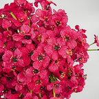 Uieke 72 Bundles Artificial Fake Flowers Outdoor UV Resistant Faux Plants Plastic Cemetery Flowers No Fade Outside Home Garden Porch Window Box Summer Décor -Rose Red - Image 2